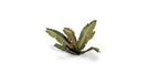 Gamers Grass 789990 Banana Tree Laser Cut Plants (52 Pack)