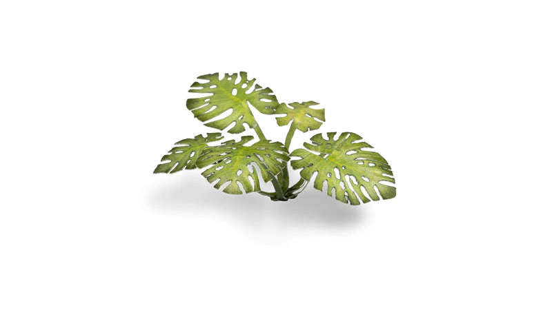 Gamer Grass 790002 Monstera Laser Cut Plants (47 Pack)