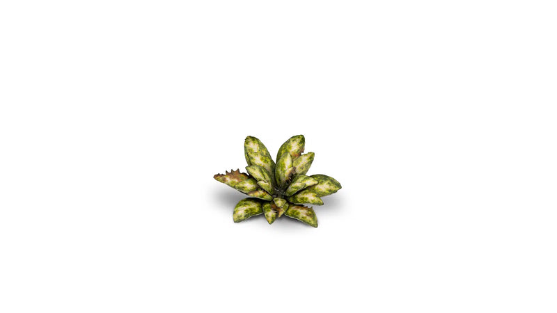 Gamer Grass 790019 Dumb Cane Laser Cut Plants (47 Pack)