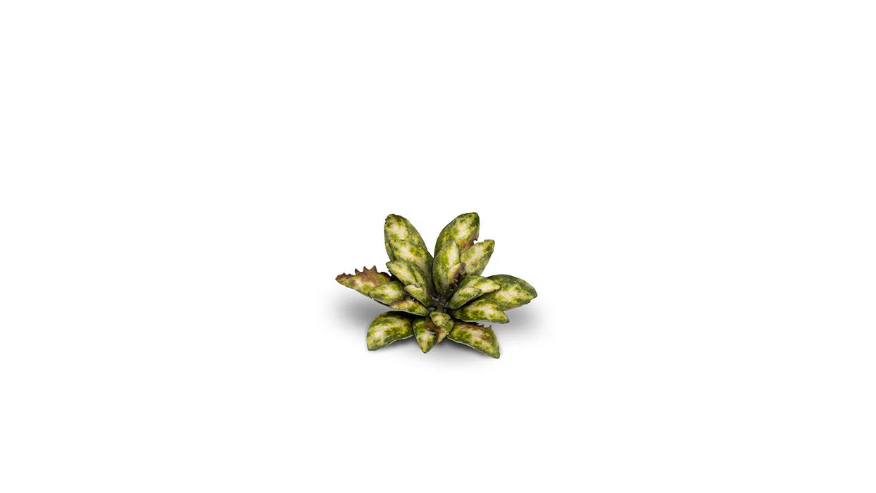 Gamer Grass 790019 Dumb Cane Laser Cut Plants (47 Pack)