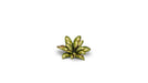 Gamer Grass 790019 Dumb Cane Laser Cut Plants (47 Pack)