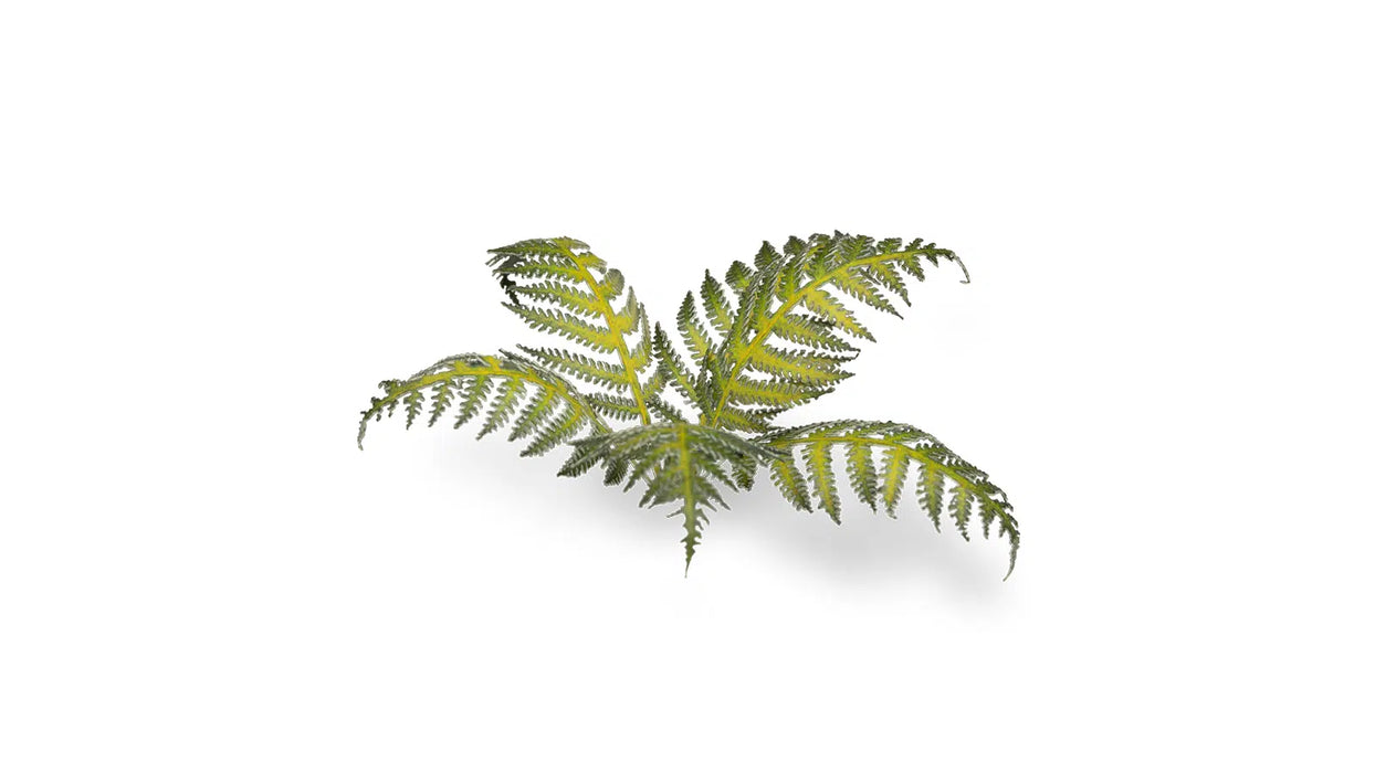 Gamer Grass 790033 Bracken Laser Cut Plants (22 Pack)