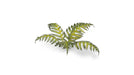 Gamer Grass 790033 Bracken Laser Cut Plants (22 Pack)