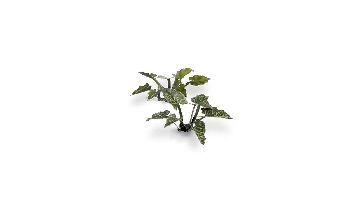 Gamer Grass 790071 Lords-and-Ladies Laser Cut Plants (103)
