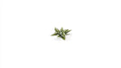 Gamer Grass 790125 Plantain Lily Laser Cut Plants (57 Pack)