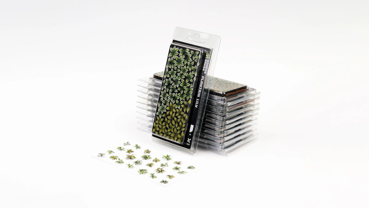 Gamer Grass 790125 Plantain Lily Laser Cut Plants (57 Pack)