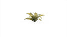 Gamer Grass 790149 Deer Fern Laser Cut Plants (38 Pack)