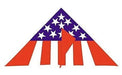 Gayla 703 50"x24" America Delta Wing Kite