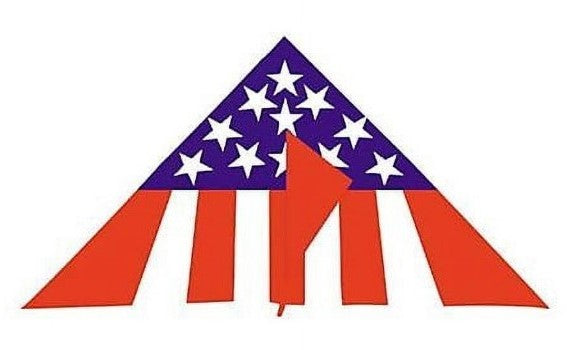 Gayla 703 50"x24" America Delta Wing Kite