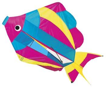 Gayla 877 29"x18" Rainbow Fish 3D Nylon Kite