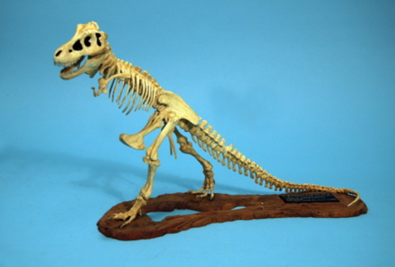 Glencoe Models 7906 1/25 Tyrannosaurus Skeleton Model Kit
