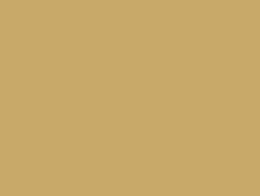 Gunze C44 Mr. Hobby Mr. Color Semi-Gloss Tan 10ml