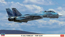 Hasegawa 2293 1/72 F-14A Tomcat `Top Gun´ Model Aircraft Kit