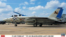 Hasegawa 2406 1/72 F-14D Tomcat `VF-213 Blacklions Last Cruise´ Model Kit