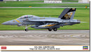 Hasegawa 2461 1/72 EA-18G Growler `VAQ-138 Yellow Jackets 2022´ Model Kit