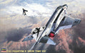Hasegawa 7206 1/48 F-4J Phantom II `Show Time 100´ Model Aircraft Kit
