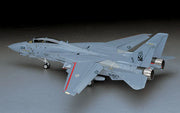 Hasegawa 7212 1/48 F-14D Tomcat `CVW-14´ Model Aircraft Kit