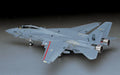 Hasegawa 7212 1/48 F-14D Tomcat `CVW-14´ Model Aircraft Kit