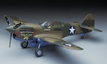 Hasegawa 8879 1/32 P-40E Warhawk "Texas Longhorn" Model Aircraft Kit