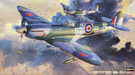 Hasegawa 9079 1/48 Spitfire Mk.IXc RAF Fighter Model Aircraft Kit