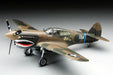 Hasegawa 9086 1/48 P-40E Warhawk (U.S. Army Air Force Fighter) Model Aircraft Kit