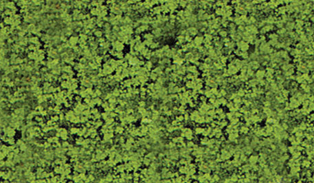 Heki Mini Forest 1551 Medium Green Foliage Pad 11 x 5-1/2"