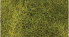 Heki Mini Forest 1575 Meadow Green Wild Grass Pad 11 x 5-1/2"