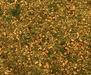 High Ground Basing 101 Decayed Fen 2oz
