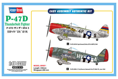 Hobby Boss 85804 1/48 P-47D Thunderbolt Fighter Model Plane Kit