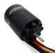 Holmes Hobbies 710100006 CRAWLMASTER 2n1 Brushless Crawler ESC and 1800kv Motor System
