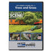 Kalmbach 15352 Model Railroader Video Plus - Let's Make a Scene DVD