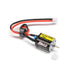 LOSI 1870 65T Brushed Motor for Micro-B