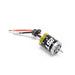 Losi LOS11002 25T Brushed Motor for Mini LMT