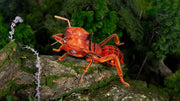 Make Bug B0005 Leafcutting Ant 3D Puzzle Bring Nature Home