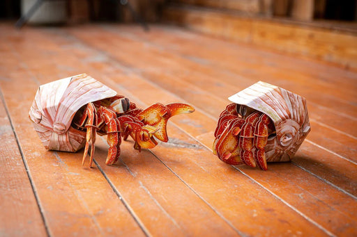 Make Bug B0008 Hermit Crab 3D Puzzle Bring Nature Home