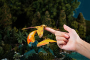 Make Bug C0001 Actias Moth 3D Puzzle Bring Nature Home