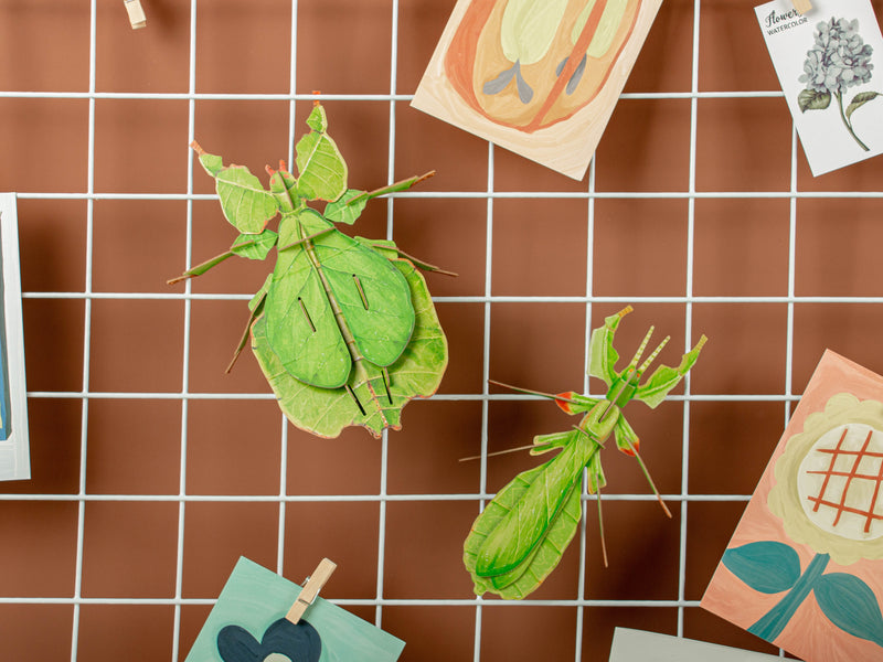Make Bug C0002 Leaf Insect 3D Puzzle Bring Nature Home