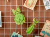 Make Bug C0002 Leaf Insect 3D Puzzle Bring Nature Home