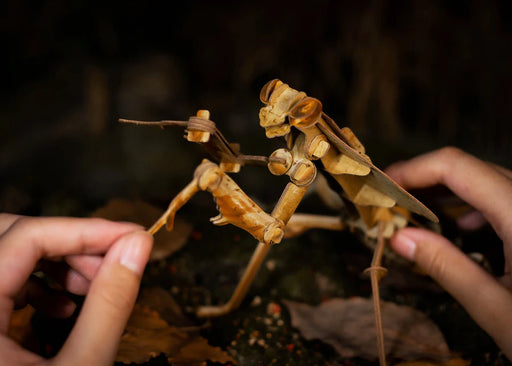 Make Bug C0004 Dead Leaf Mantis 3D Puzzle Bring Nature Home