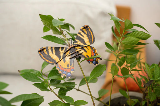 Make Bug C0006 Luehdorfia Butterfly 3D Puzzle Bring Nature Home