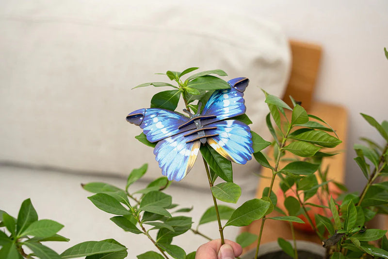 Make Bug C0007 Helena Morpho Butterfly 3D Puzzle Bring Nature Home