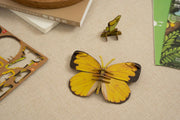 Make Bug C0008 Common Grass Yellow Butterfly 3D Puzzle Bring Nature Home