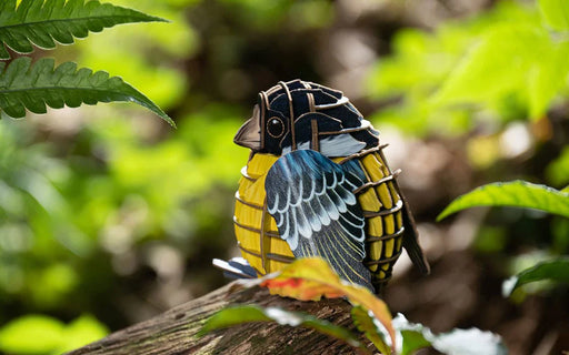 Make Bug D0003 Voices of Nature - Yellow-Bellied Titmouse