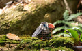 Make Bug D0007 Voices of Nature - Red-Billed Toucan