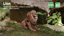 Make Bug D0017 Voices of Nature - Lion