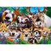MasterPieces 11916 Selfies: Woodland Wackiness Animals 200 Piece Puzzle