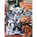 MasterPieces 31366 Playful Paws: Hide & Seek Various Kittens & Puppies EzGrip 300 Piece Puzzle