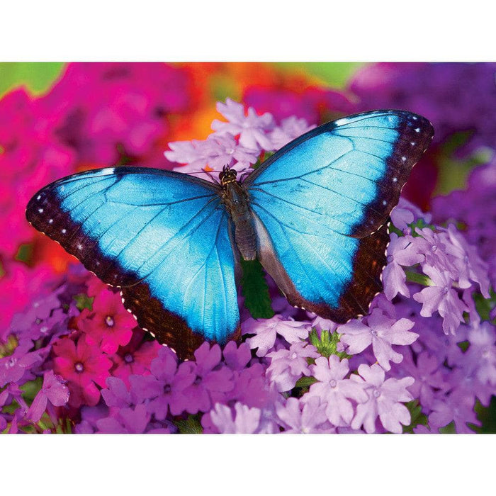 MasterPieces 31622 Brilliance: Iridescence (Butterfly on Flowers) 550 Piece Puzzle