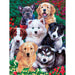 MasterPieces 31920 Playful Paws: Fluffy Fuzzballs Dogs EzGrip 300 Piece Puzzle