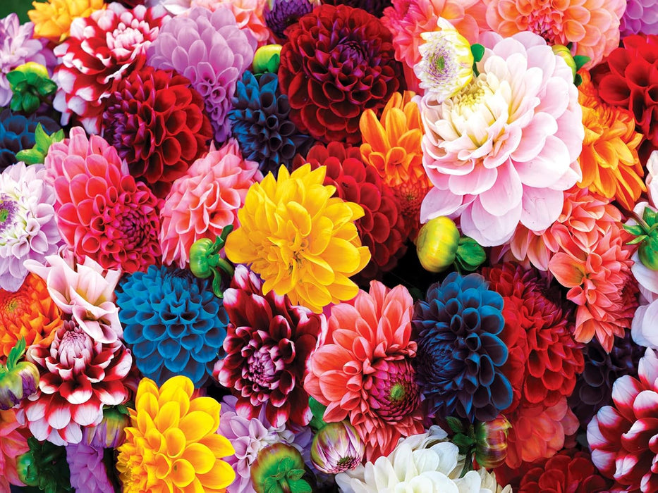 MasterPieces 31988 Brilliance: Beautiful Blooms 550 Piece Puzzle